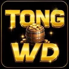tongwd - VPN Indonesia APK